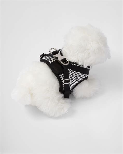 Prada dog harness